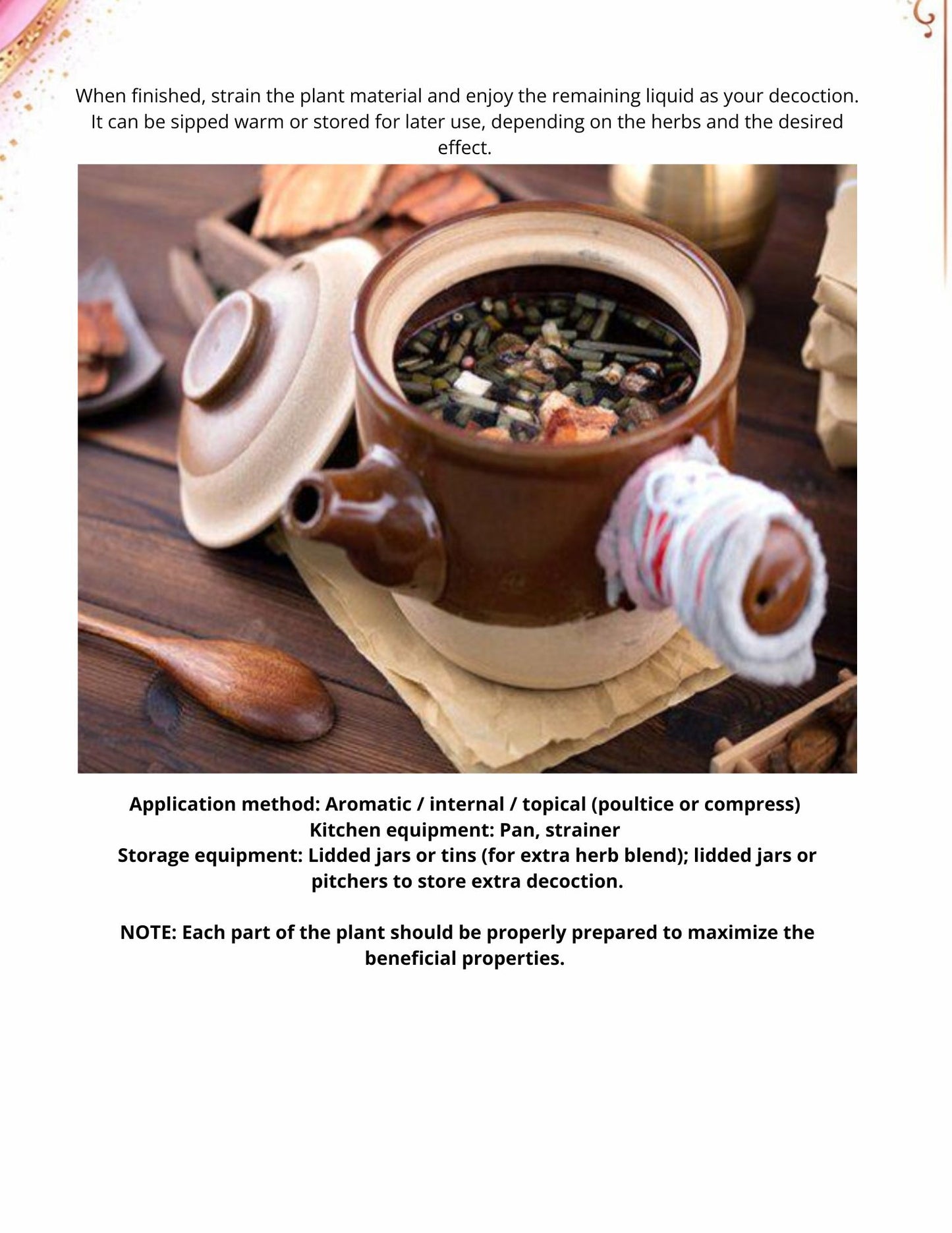 EBOOK-Foundational Herbal Medicine 101