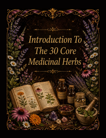 Foundational Herbal Medicine-101