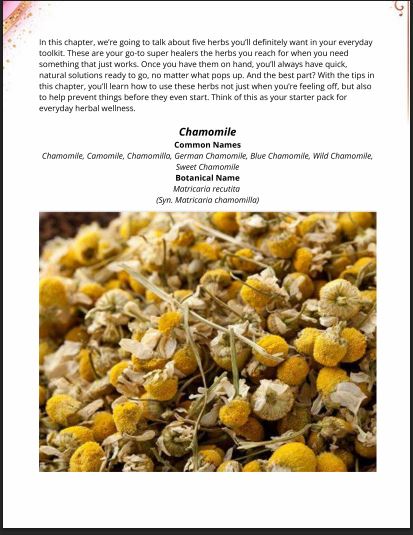 EBOOK-Foundational Herbal Medicine 101