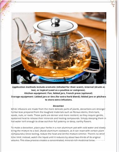 Foundational Herbal Medicine-101