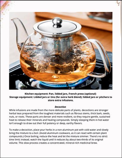Foundational Herbal Medicine-101