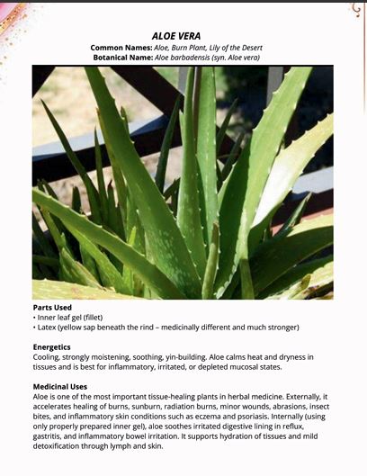 Foundational Herbal Medicine-101